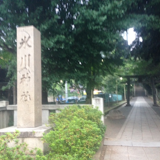 ハニコのお散歩コース♡氷川神社