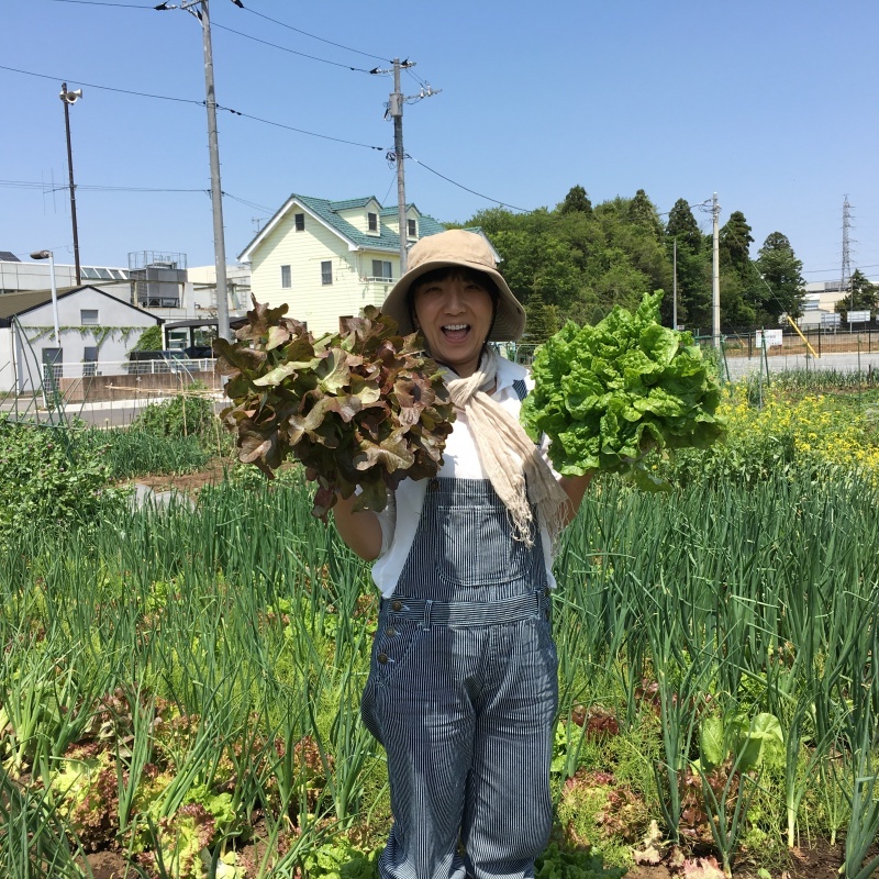 テゴコロ農園だより