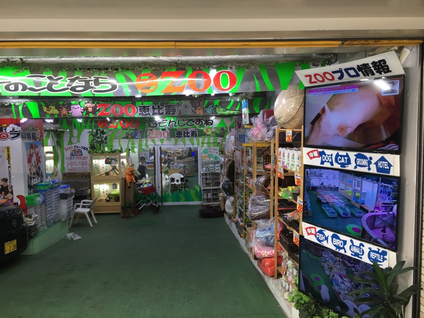 リーフレットがあるお店①ZOO