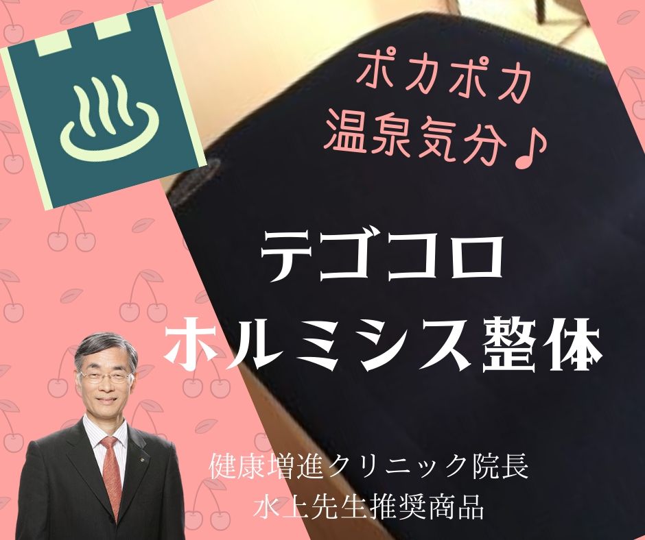 整体初心者向けメニュー「ホルミシス整体」登場！